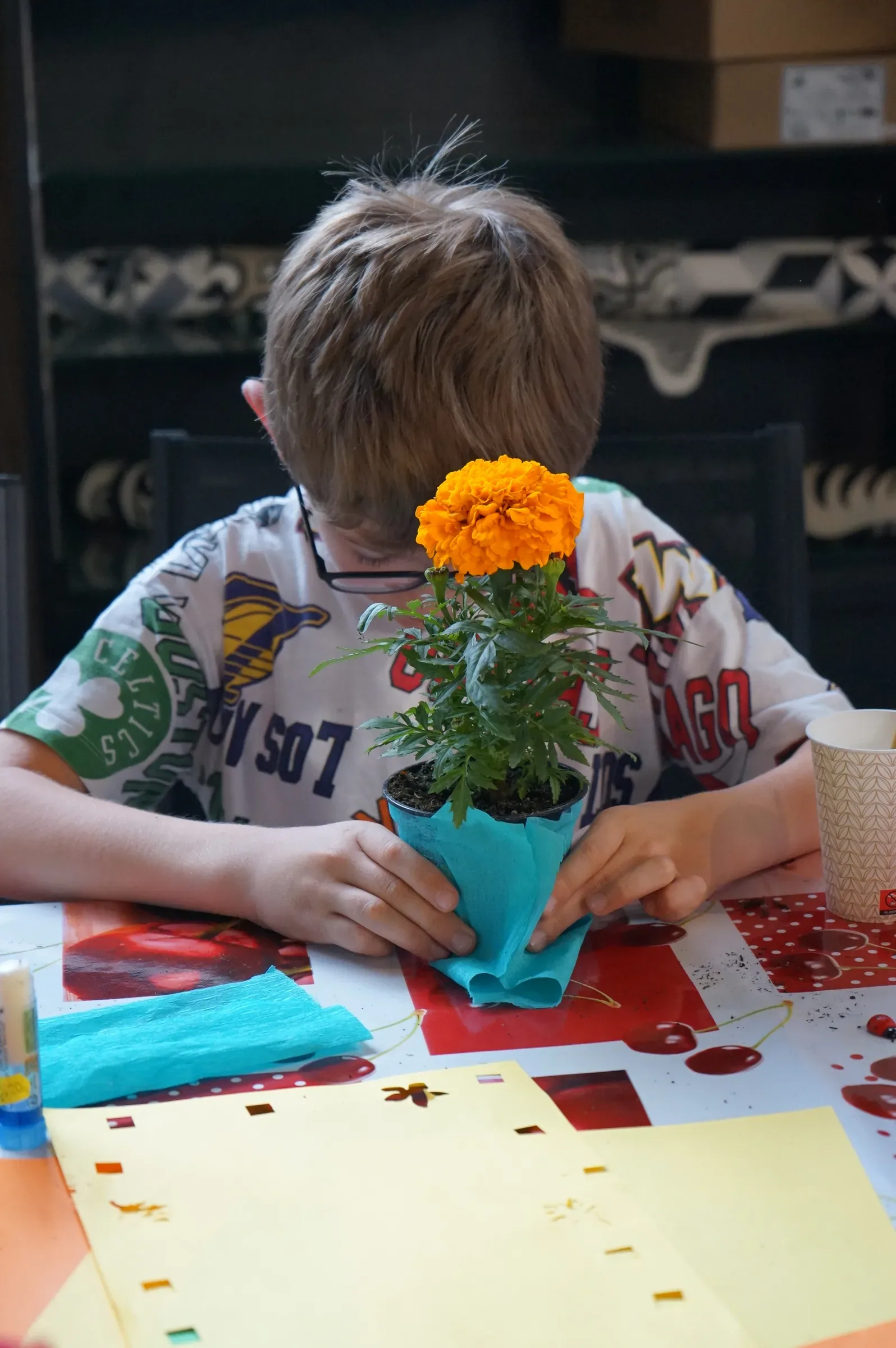 Un bambino con gli occhiali, chino sul tavolo, avvolge nella carta azzurra il vasetto di un tagete arancione