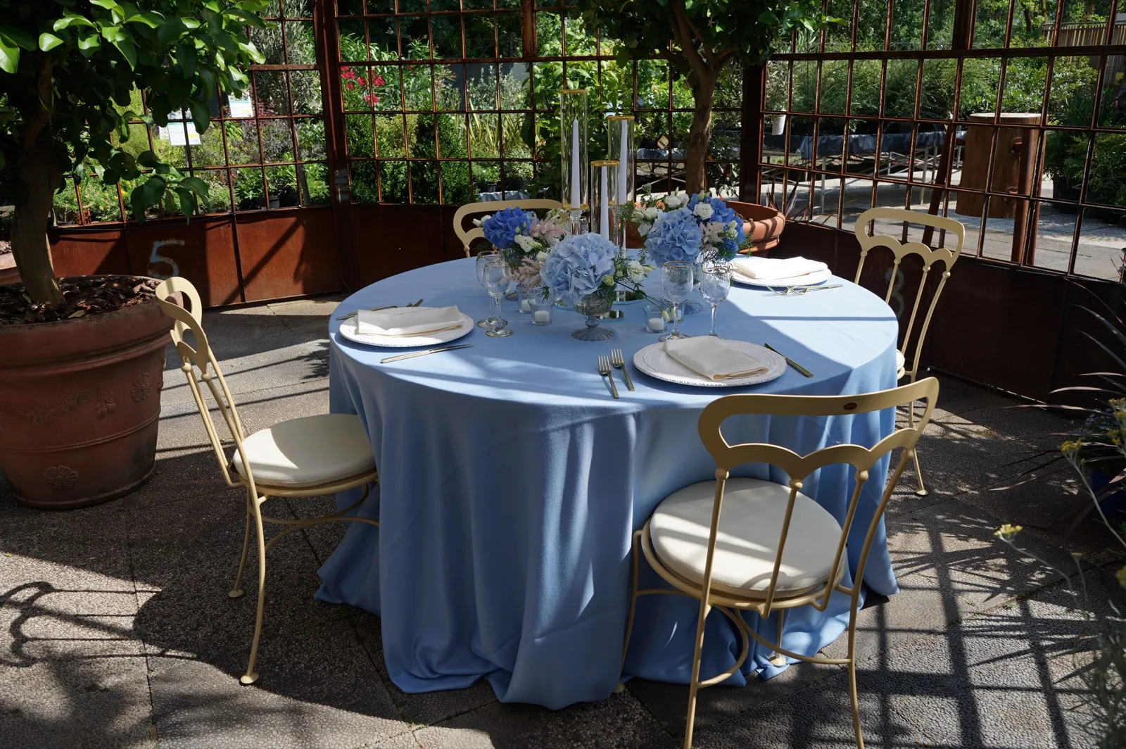 Allestimento wedding nella limonaia