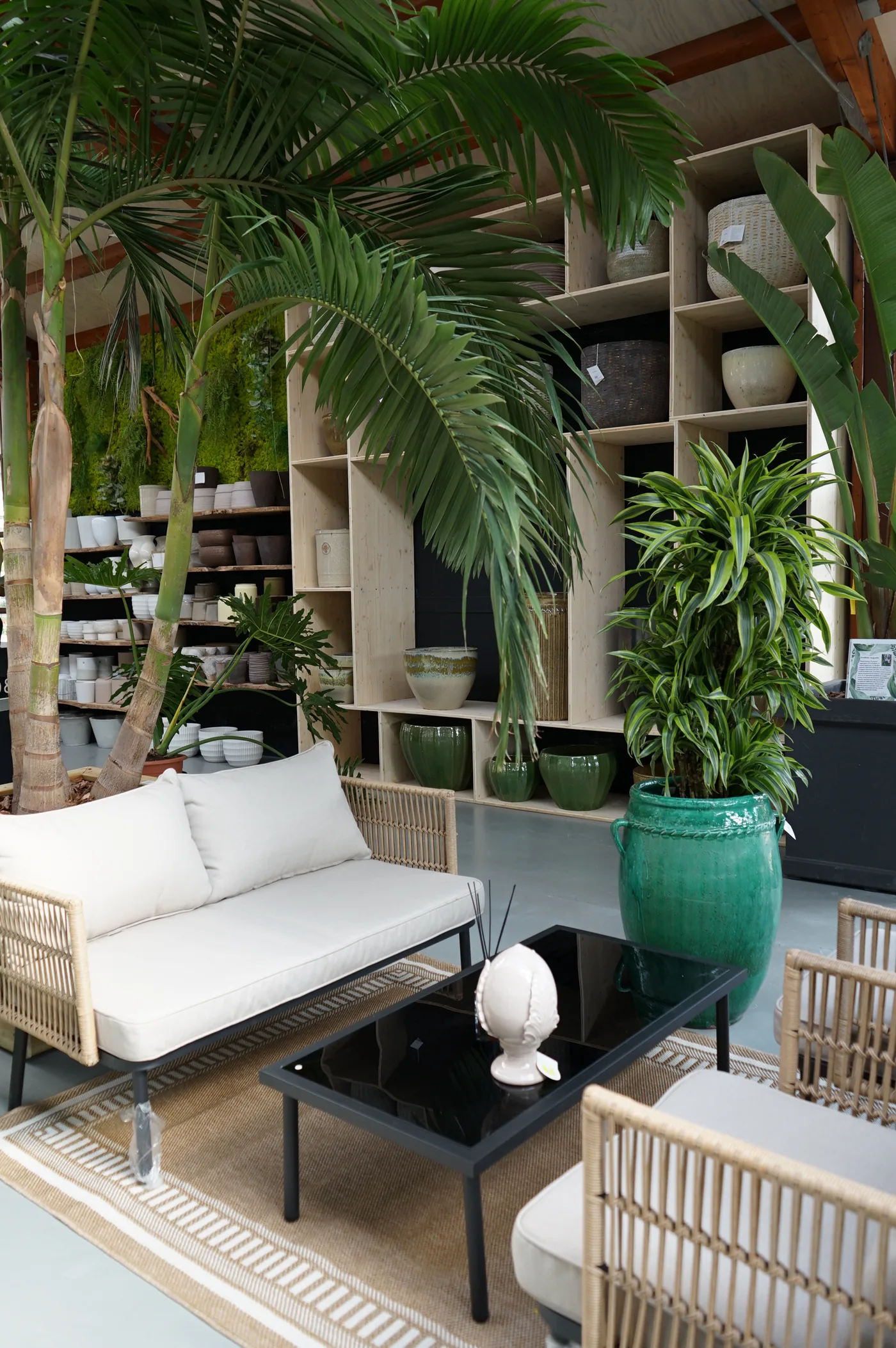 Salottino nella serra con divano bianco in legno, tavolino nero, palme alte, dracene e un vaso verde smaltato davanti a una libreria di vasi