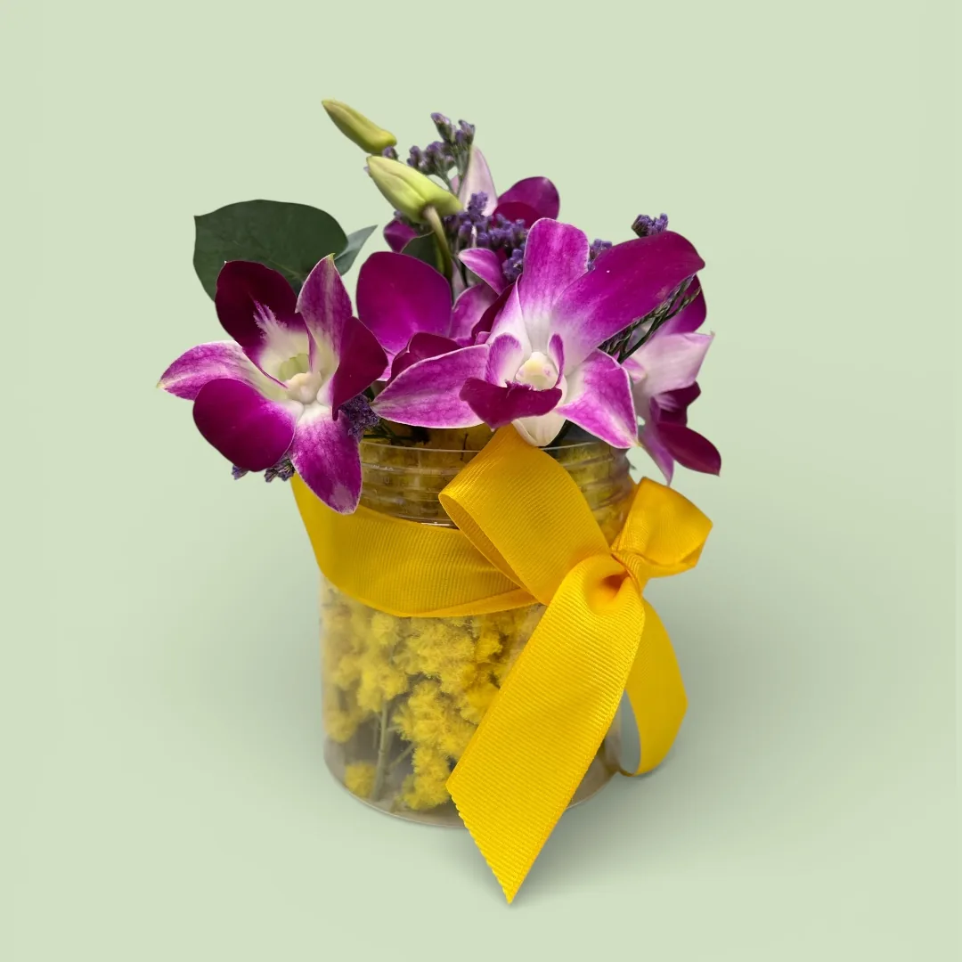 Mazzo piccolo di mimosa e orchidee fucsia in un vasetto avvolto di giallo, con un nastro giallo