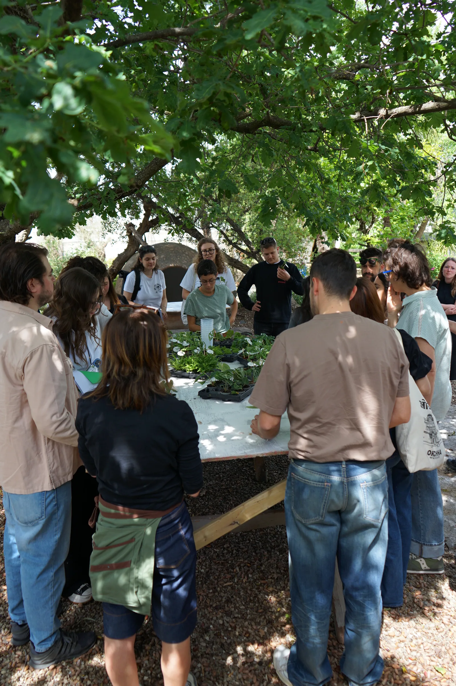 Il gruppo attorno al tavolo sotto gli alberi, fra vassoi di piantine e vasi trasparenti