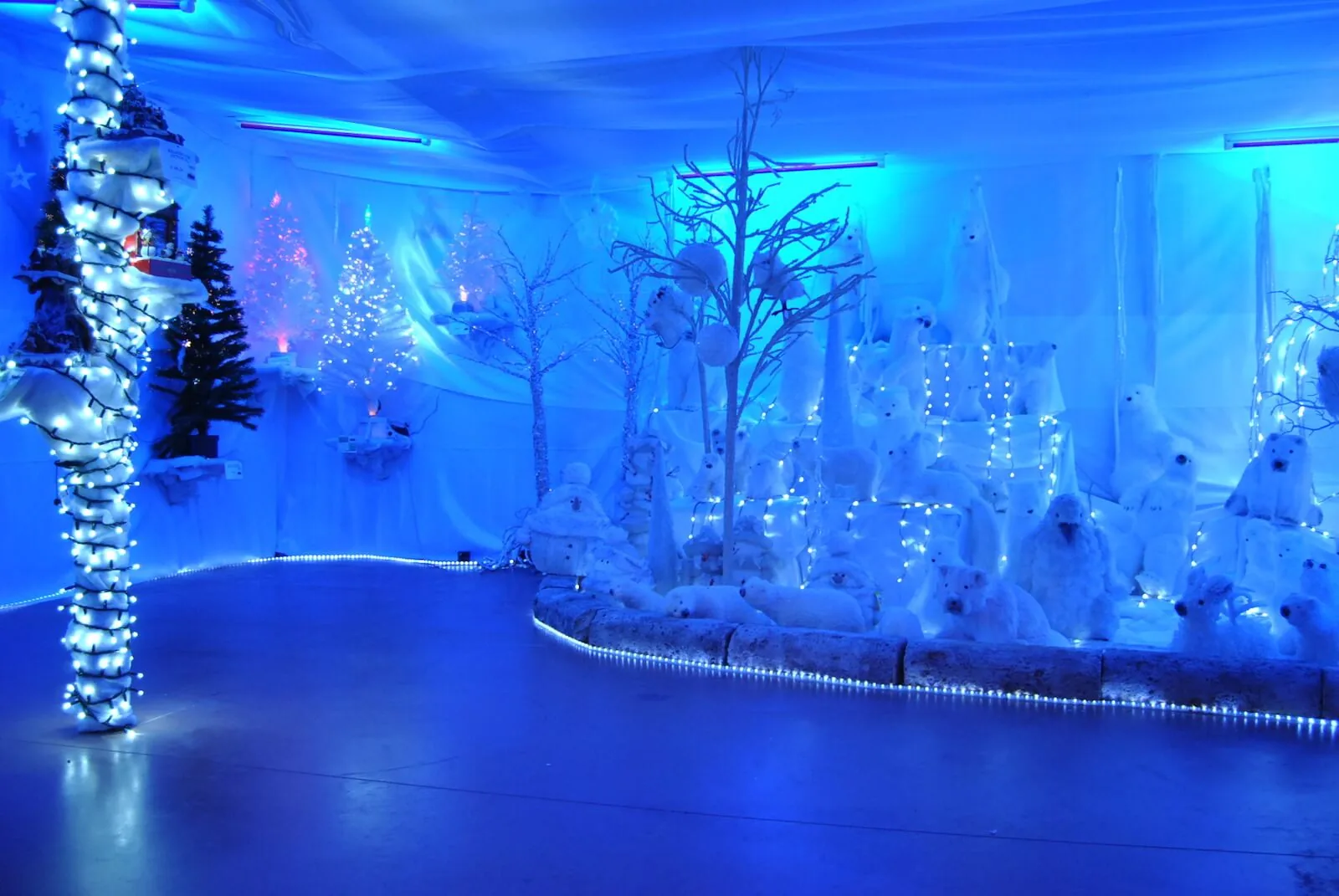 Sala illuminata di blu con un paesaggio innevato di alberi bianchi e orsi polari