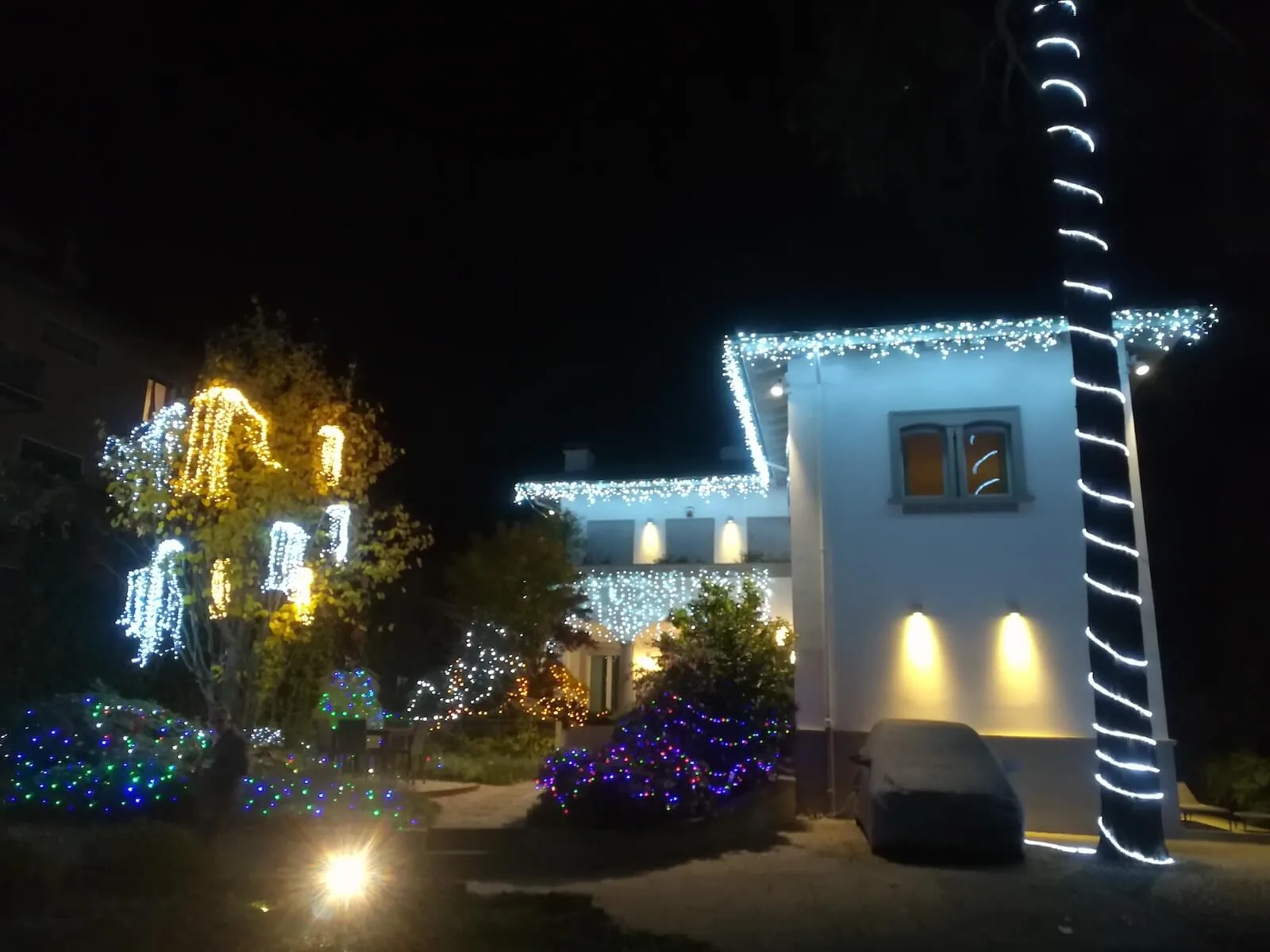 Villa bianca con luci a cornice sul tetto, alberi illuminati e una palma avvolta di luci