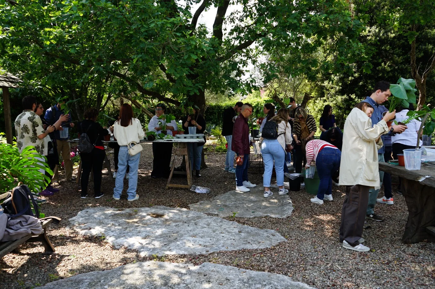 Il rinvaso di una pianta durante un laboratorio in serra