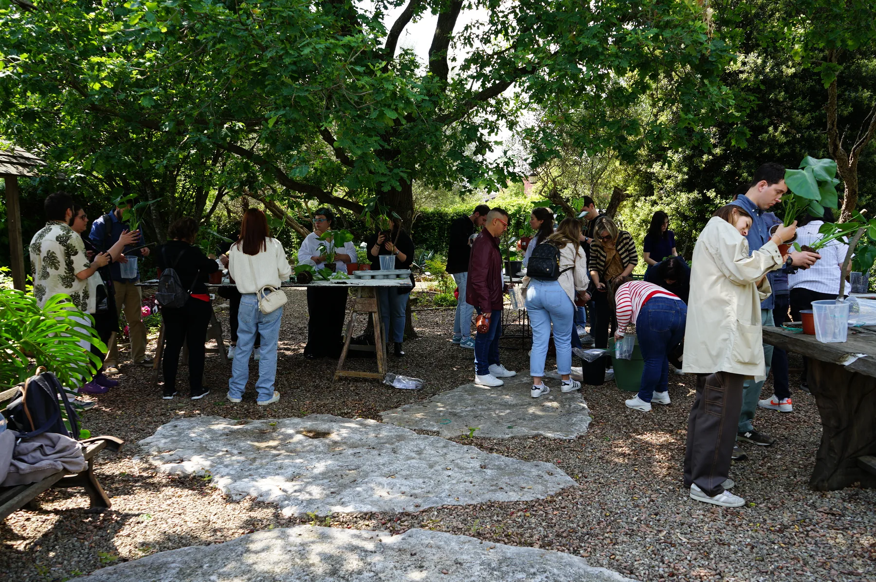 Un corso all'aperto sotto gli alberi: i partecipanti in piedi attorno ai tavoli di piante, sulla ghiaia del giardino