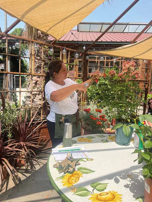 La docente mostra una pianta fiorita accanto al tavolo con i girasoli dipinti
