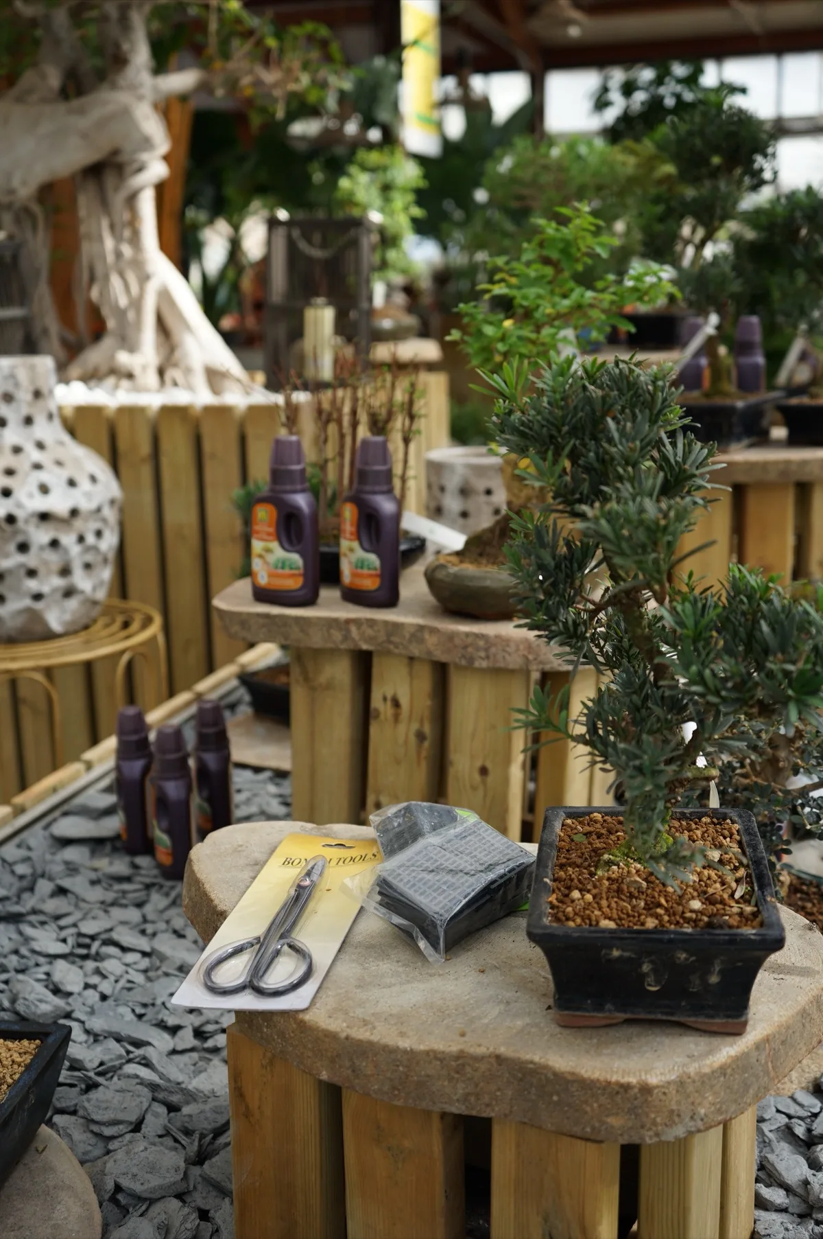 Il bancone dei bonsai, con le forbici da potatura e i flaconi di concime appoggiati fra i vasi, sopra la ghiaia di ardesia