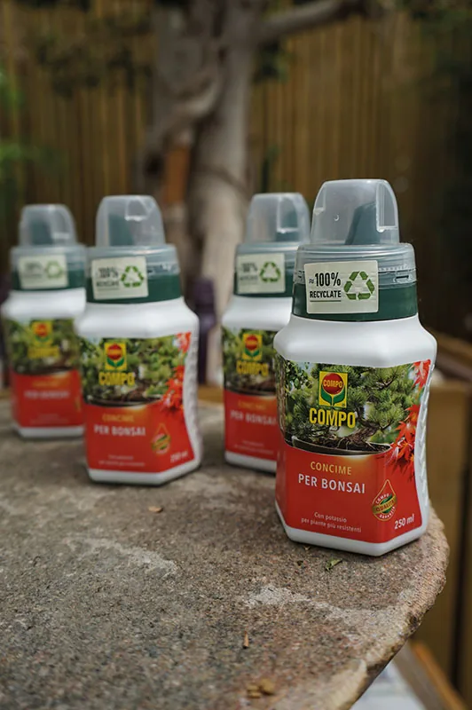 Flaconi di concime liquido per bonsai su un tronco tagliato, davanti a un bonsai fuori fuoco