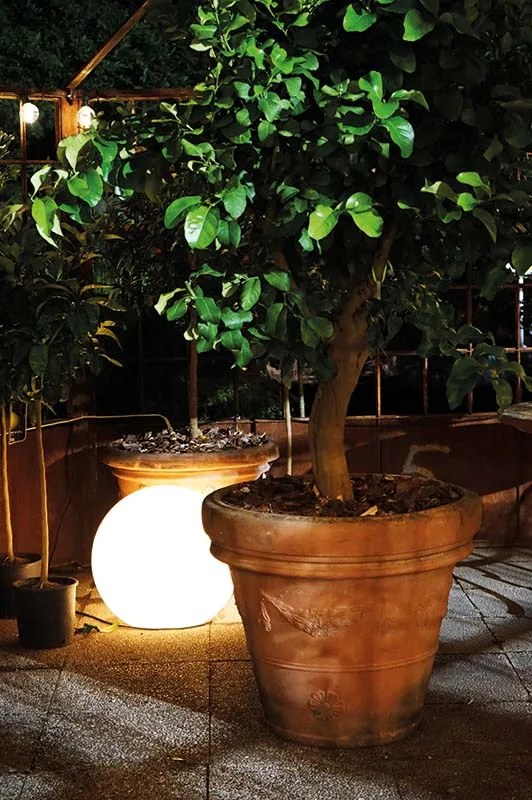 Un limone in vaso di terracotta illuminato da una sfera luminosa appoggiata a terra, di sera