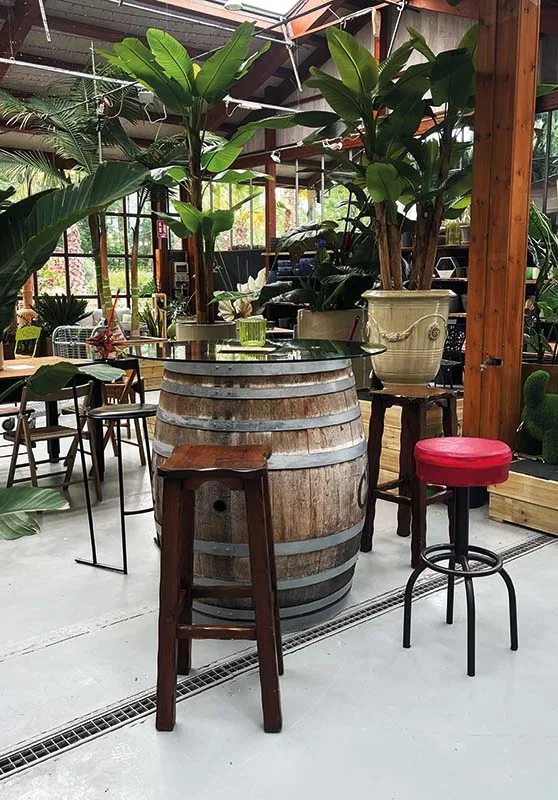 Una botte usata come tavolo con due sgabelli, davanti alle strelitzie in vaso