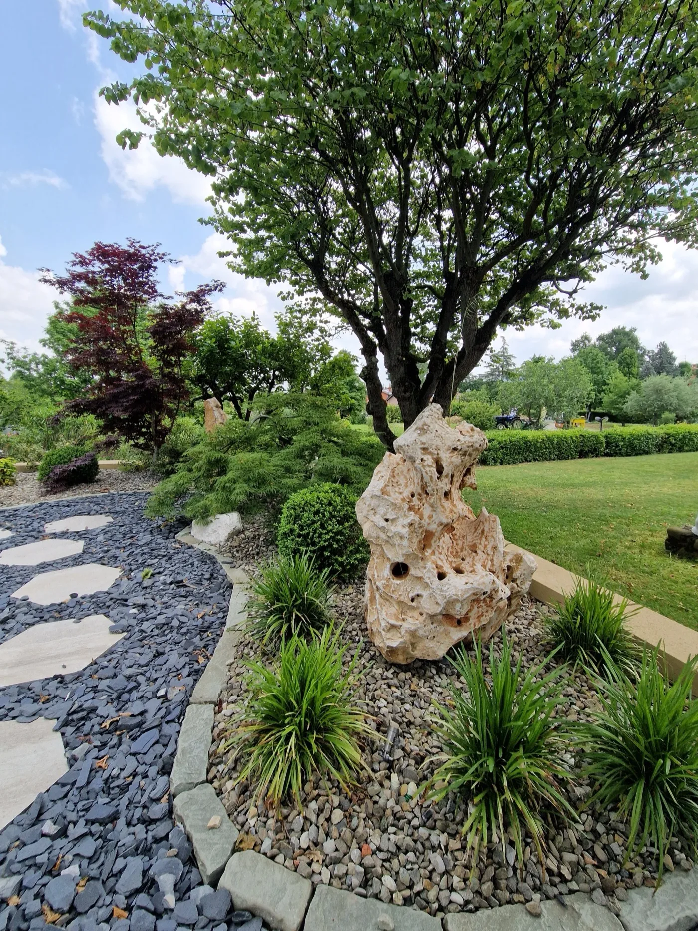 Roccia ornamentale e liriope su ghiaia, sotto un albero