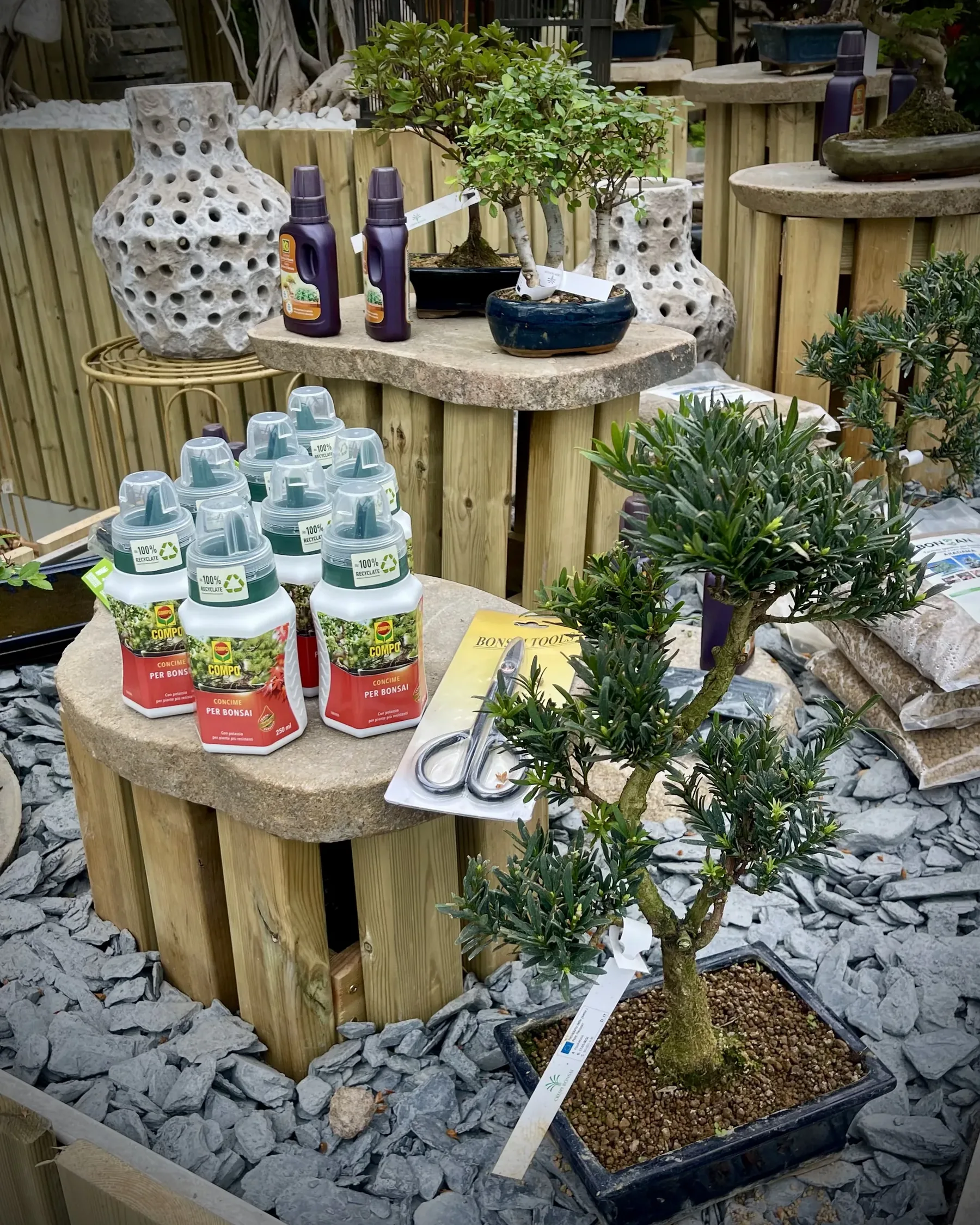 Il banco dei bonsai sulla ghiaia di ardesia, con i flaconi di concime, le forbici e i vasi traforati sui ceppi di legno