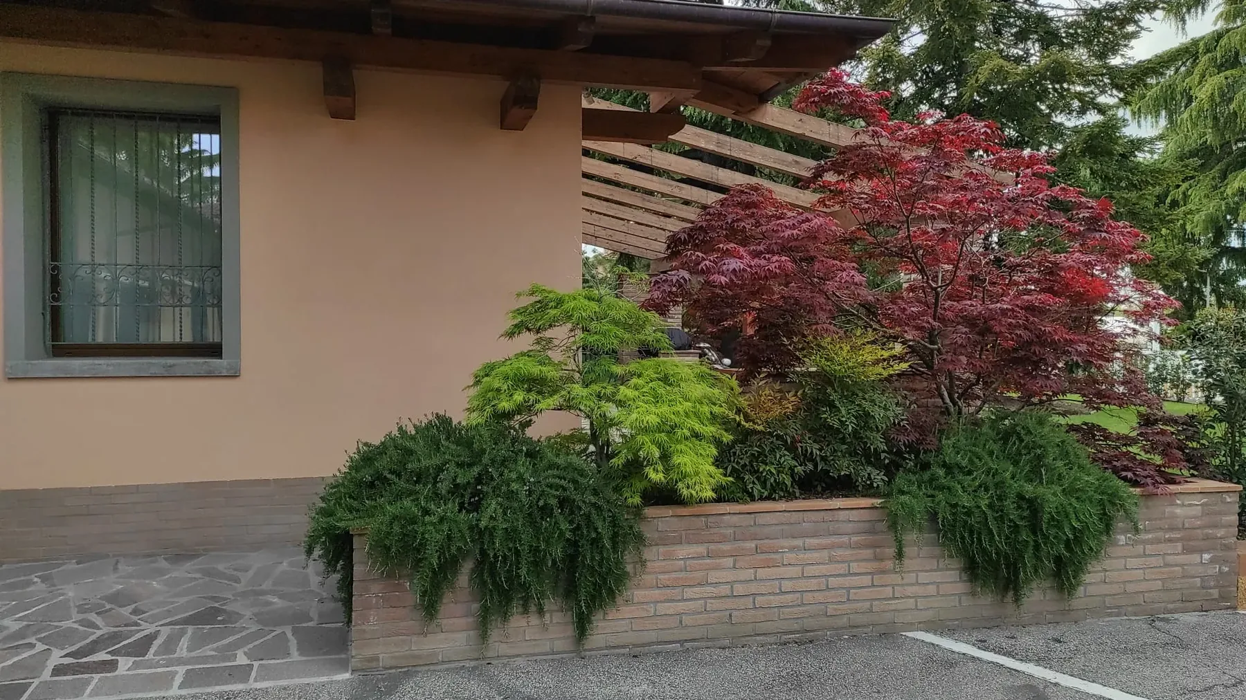 Fioriera in mattoni davanti a una casa, con un acero rosso, felci e arbusti ricadenti sotto la pergola in legno