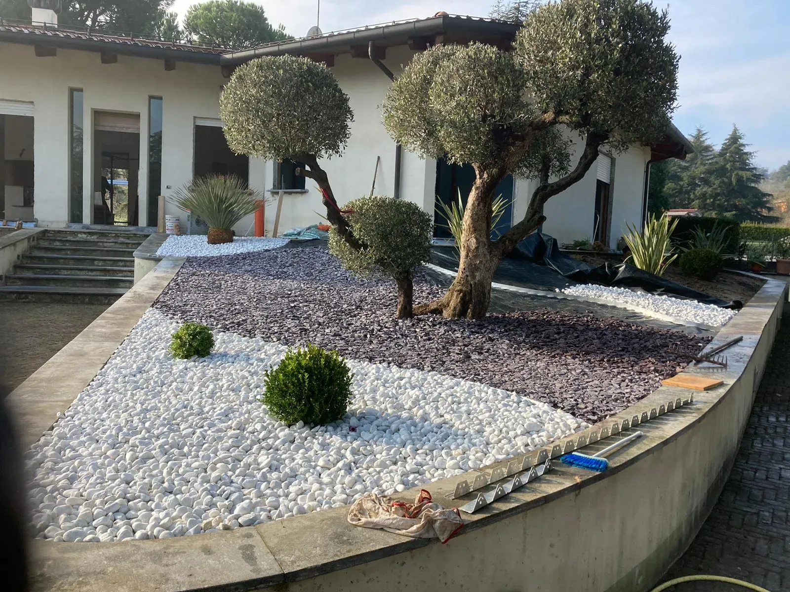 Due olivi potati a sfera in un'aiuola rialzata di ghiaia bianca e scaglie viola, con piccole sfere di bosso, davanti a una villa