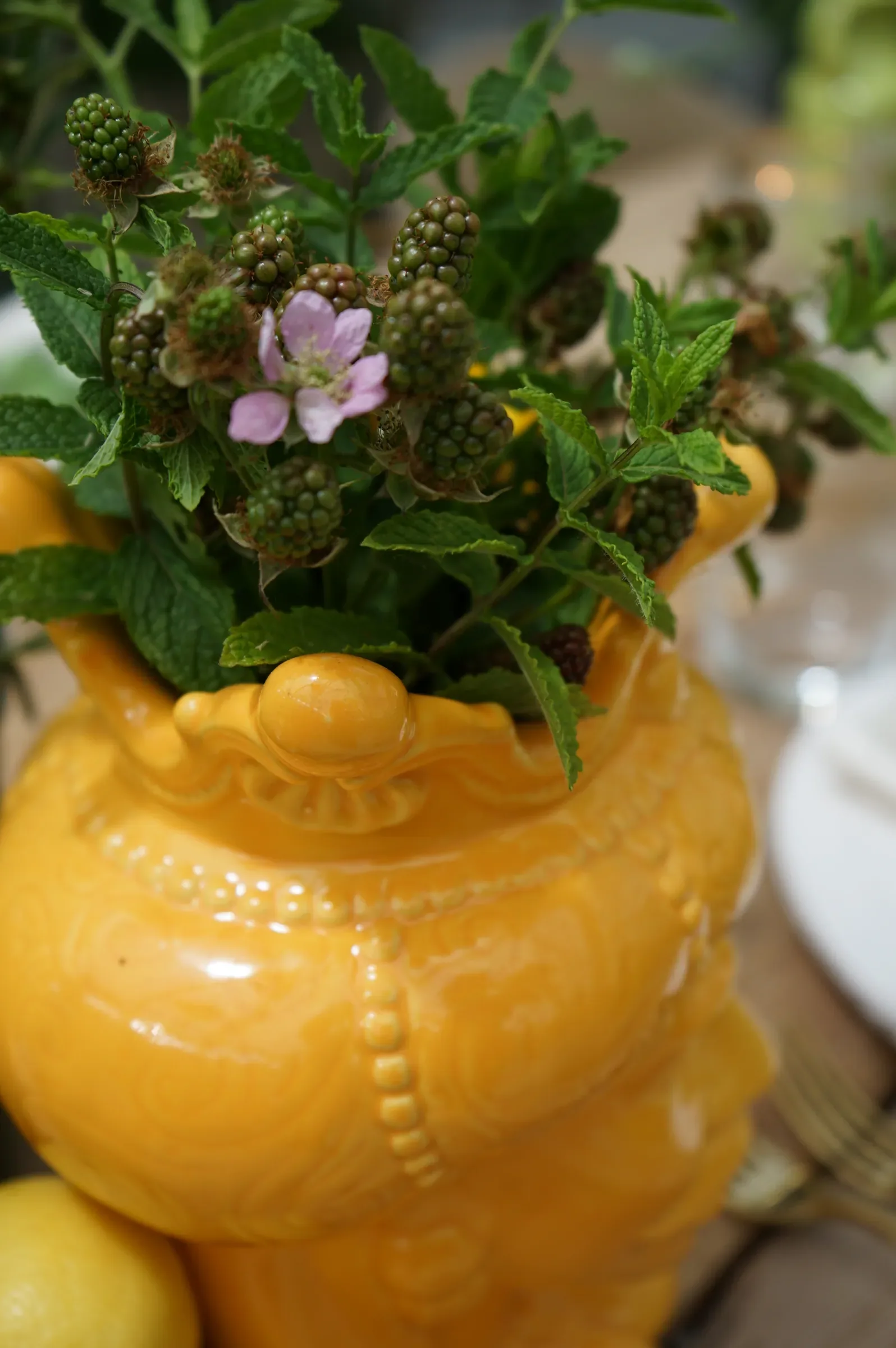 Testa di moro in ceramica gialla con dentro menta, more ancora verdi e un fiore rosa
