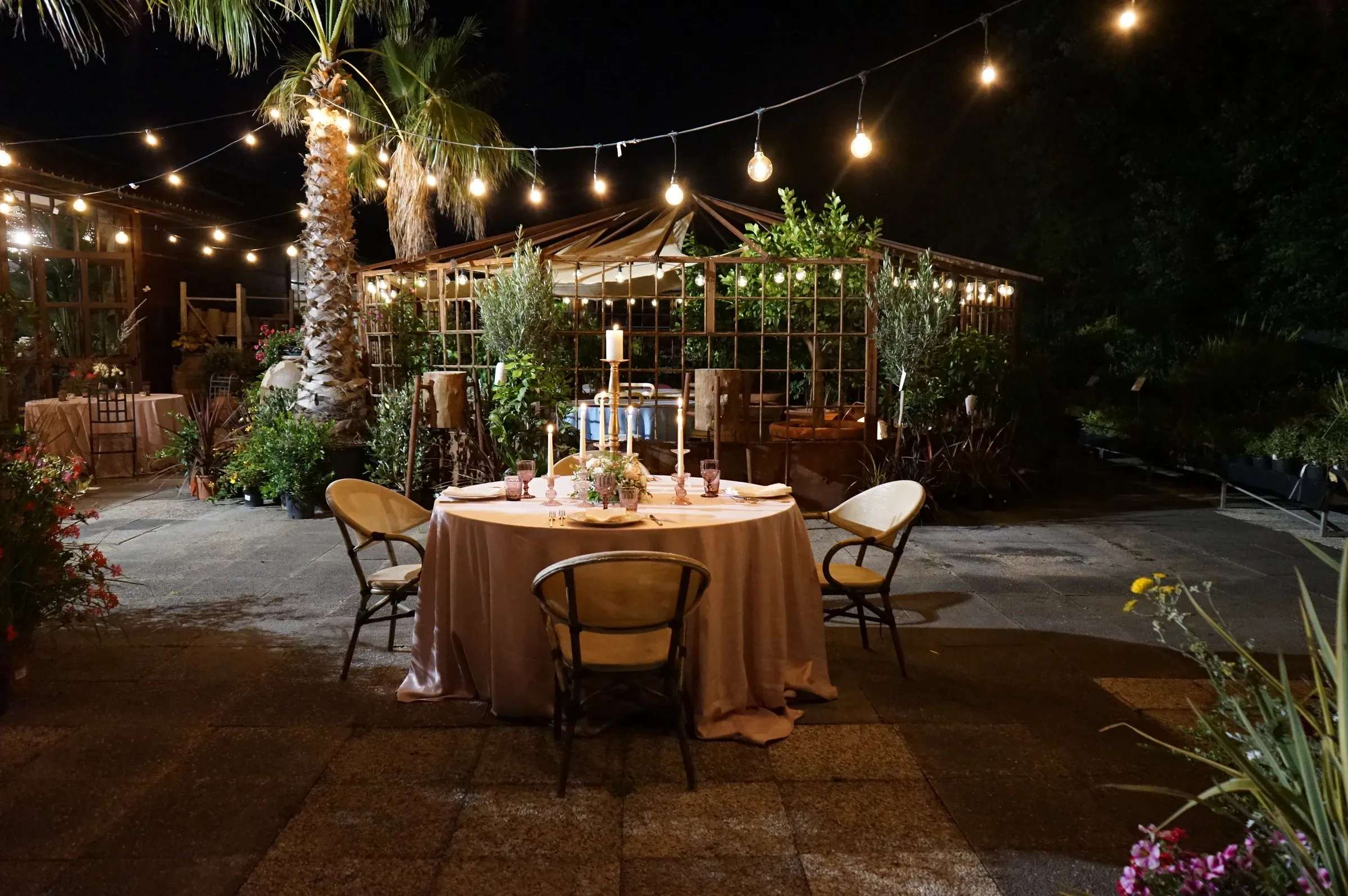 Il giardino di sera: le lucine appese fra le palme, la piccola serra illuminata e una tavola rotonda apparecchiata con le candele accese