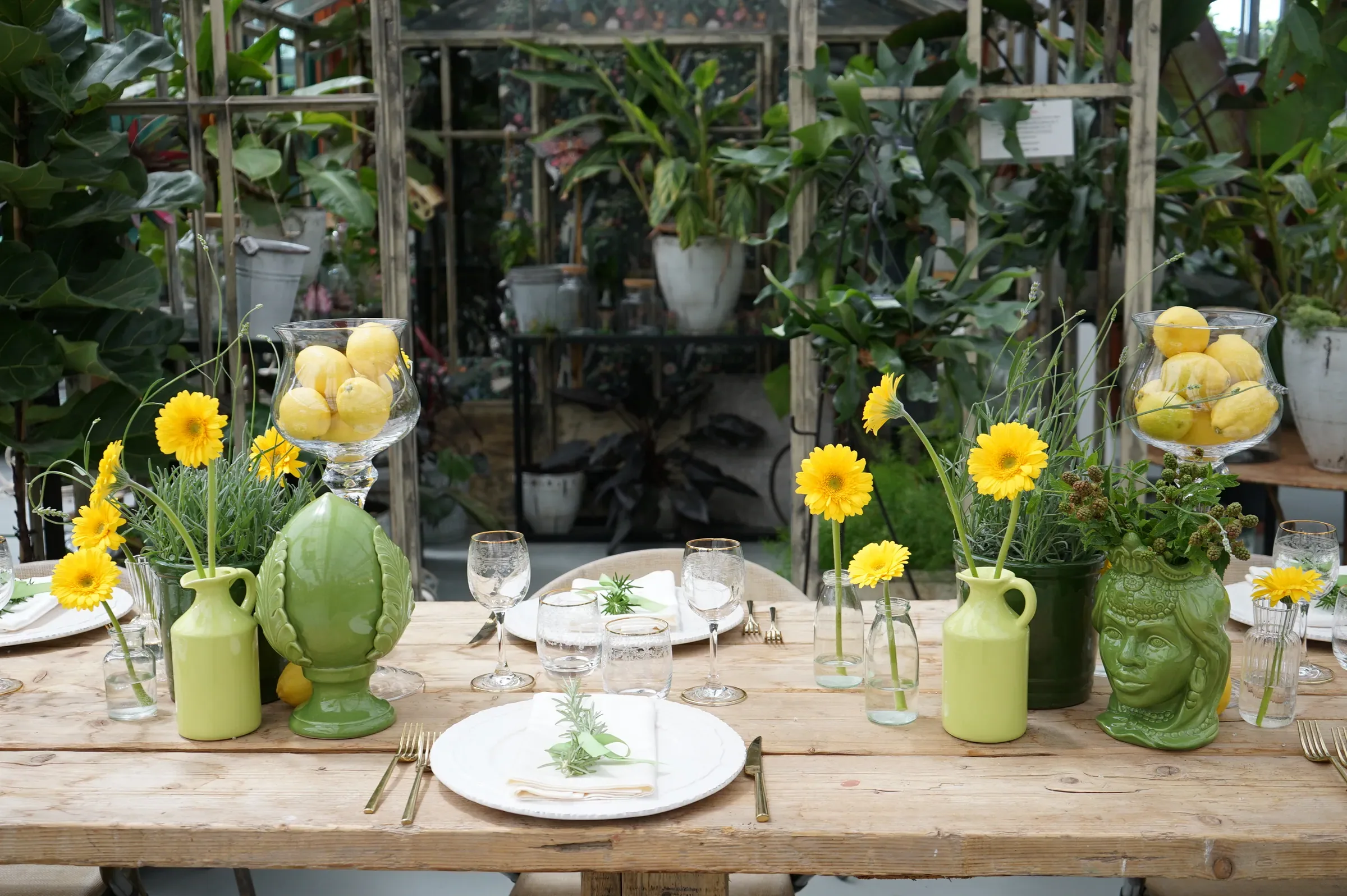 Il tavolo di assi apparecchiato in giallo e verde fra le piante della serra: gerbere, alzate piene di limoni, vasi di ceramica verde e una testa di moro