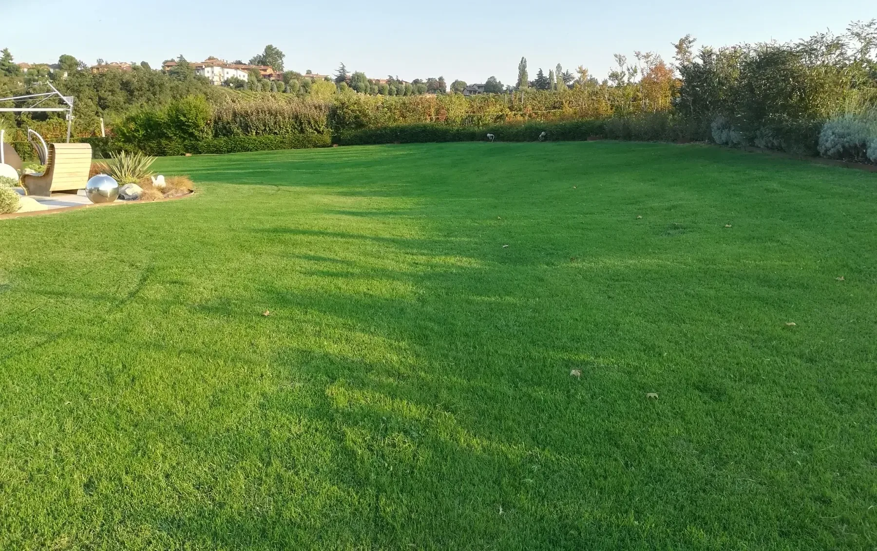 Prato ampio con siepe perimetrale e alberi, nella luce bassa del tardo pomeriggio
