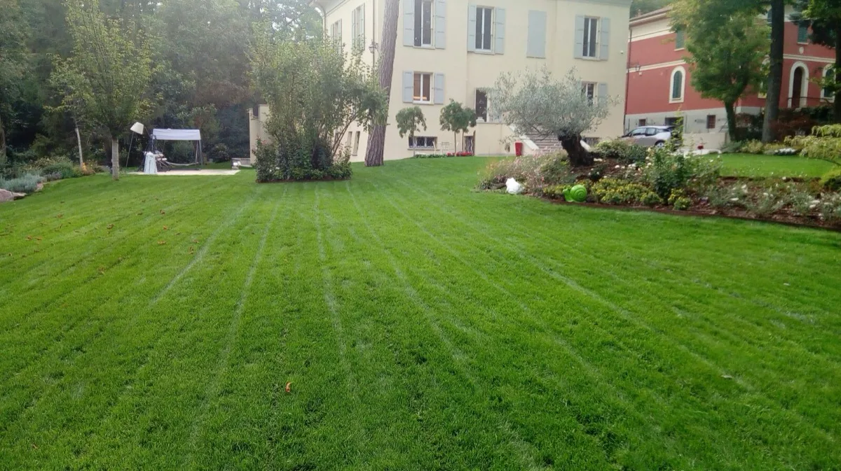 Prato con le strisce del taglio davanti a una villa d'epoca, con olivi e aiuole fiorite lungo la facciata