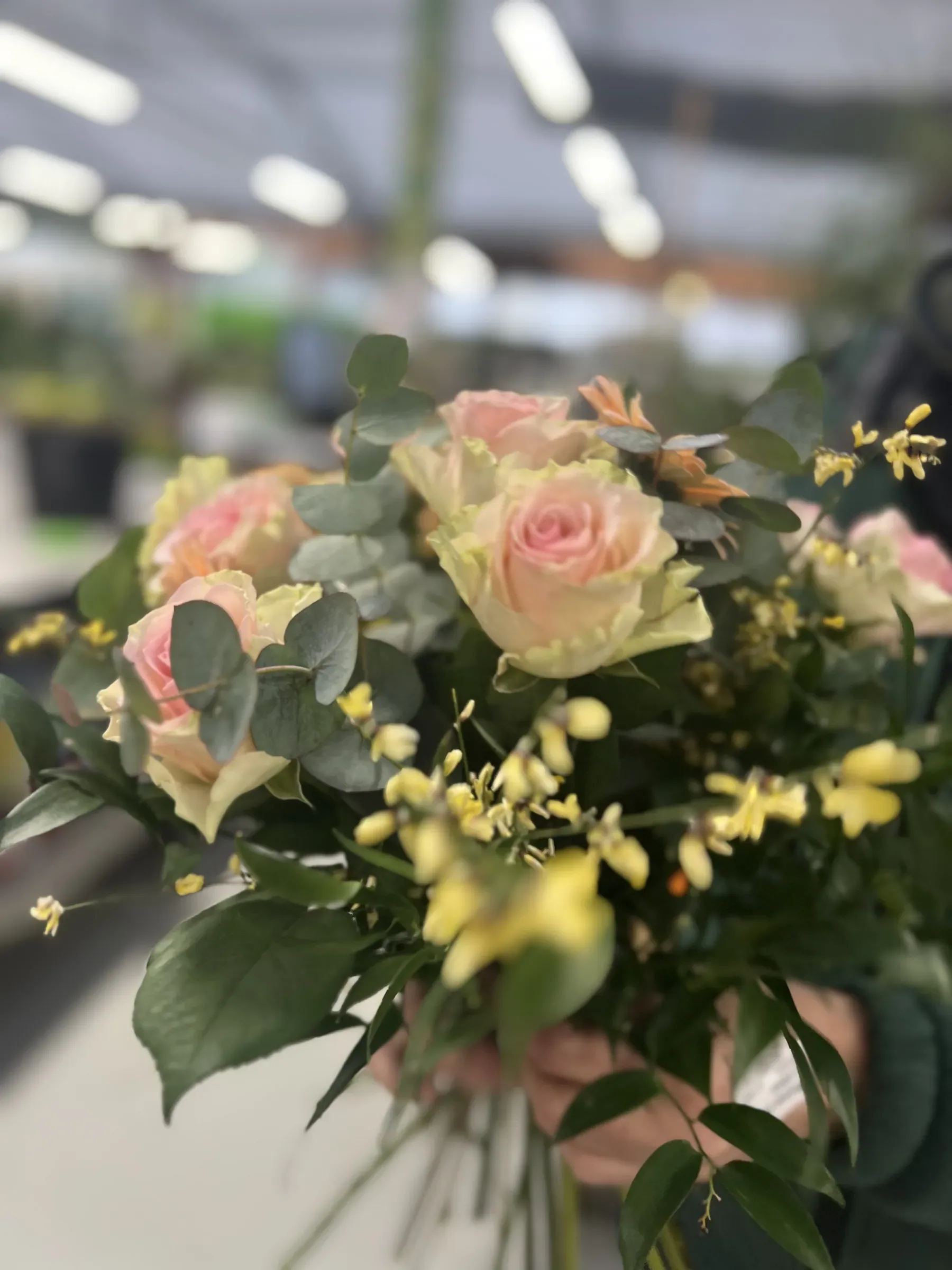 Mazzo di rose rosa chiaro con eucalipto e rametti di fiorellini gialli, tenuto in mano