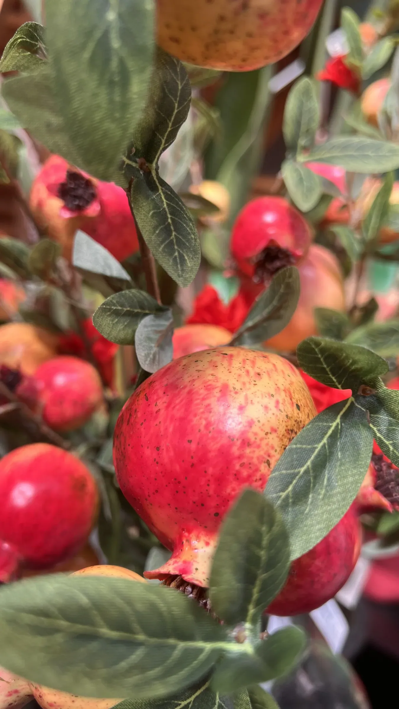 Rami artificiali di melograno con i frutti rossi e le foglie verdi, visti da vicino