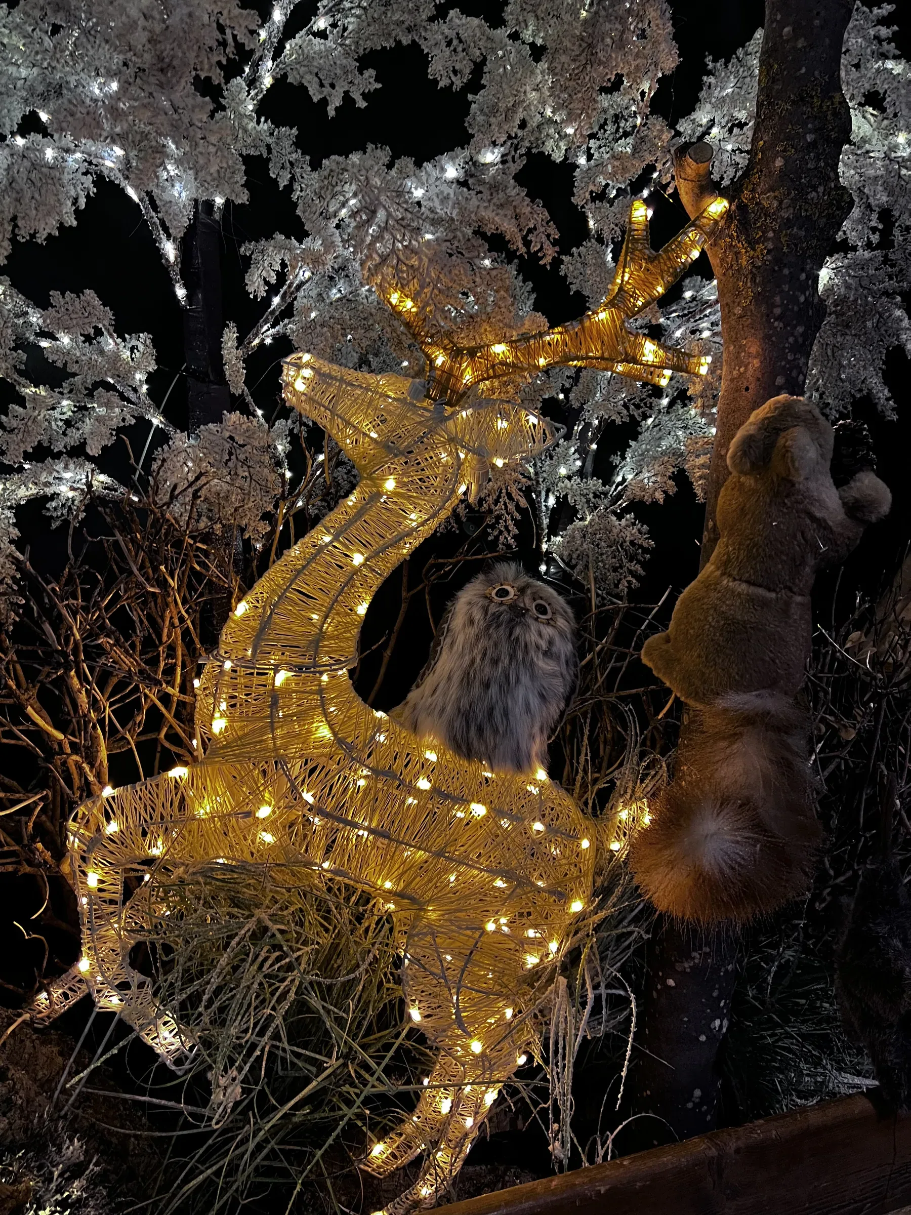 Renna di luci dorate fra alberi bianchi luminosi, con un gufo e uno scoiattolo di peluche