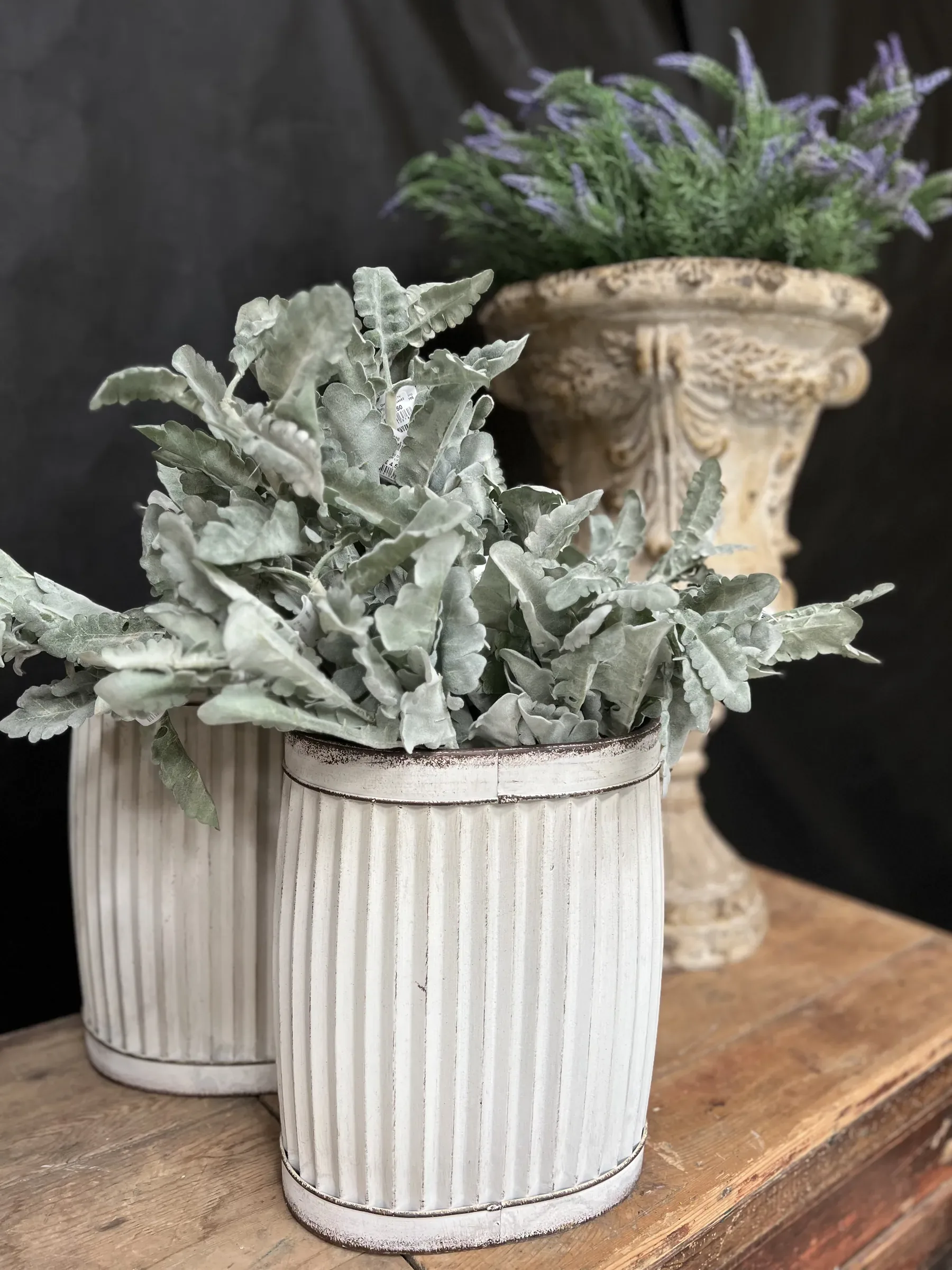 Piante dalle foglie argentate in portavasi di metallo bianco a coste, davanti a un'urna anticata con la lavanda, su un tavolo di legno