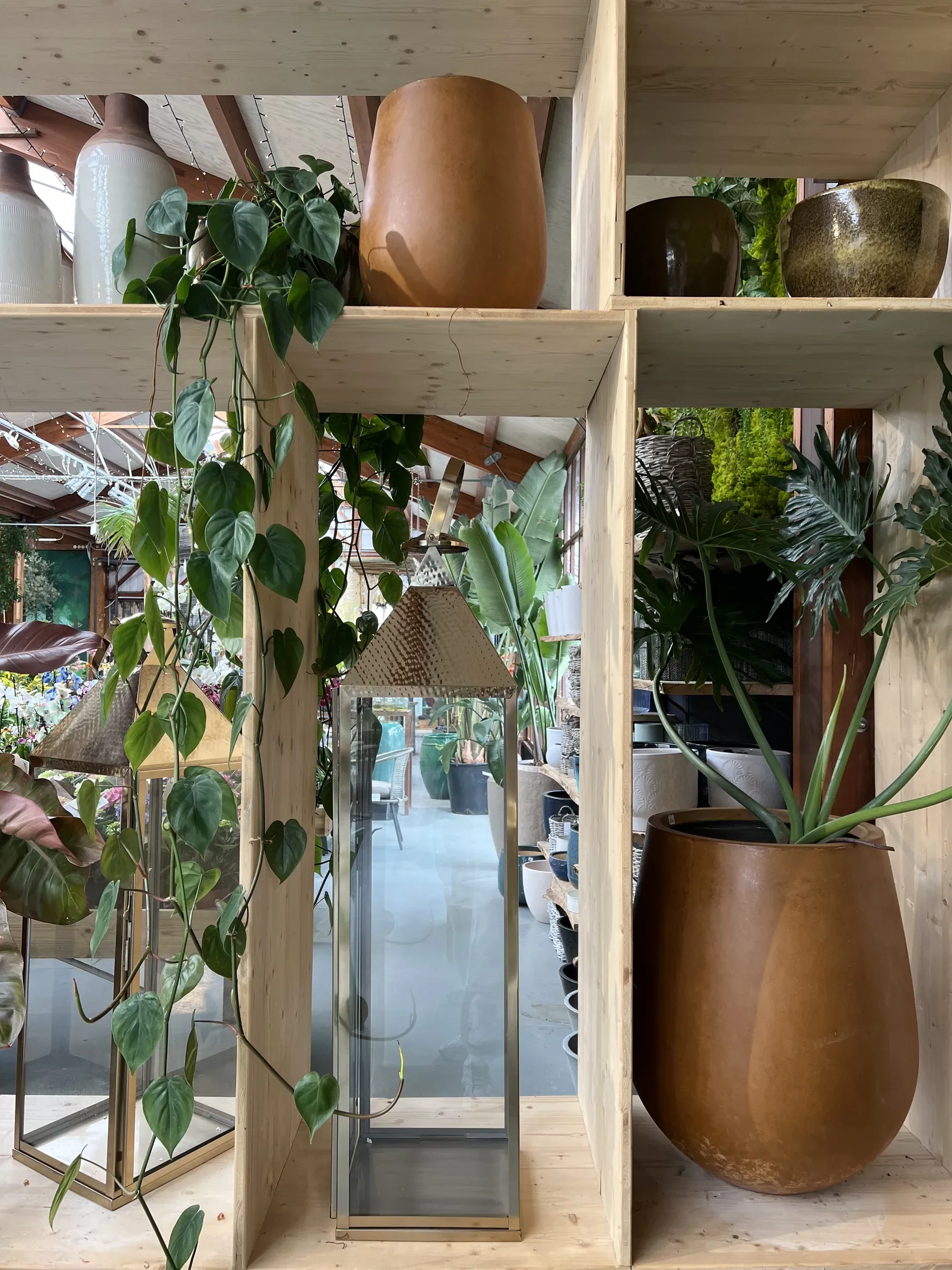 Libreria in legno chiaro con vasi di terracotta lucida, una lanterna di vetro e metallo dorato e rami di potos che scendono dall'alto