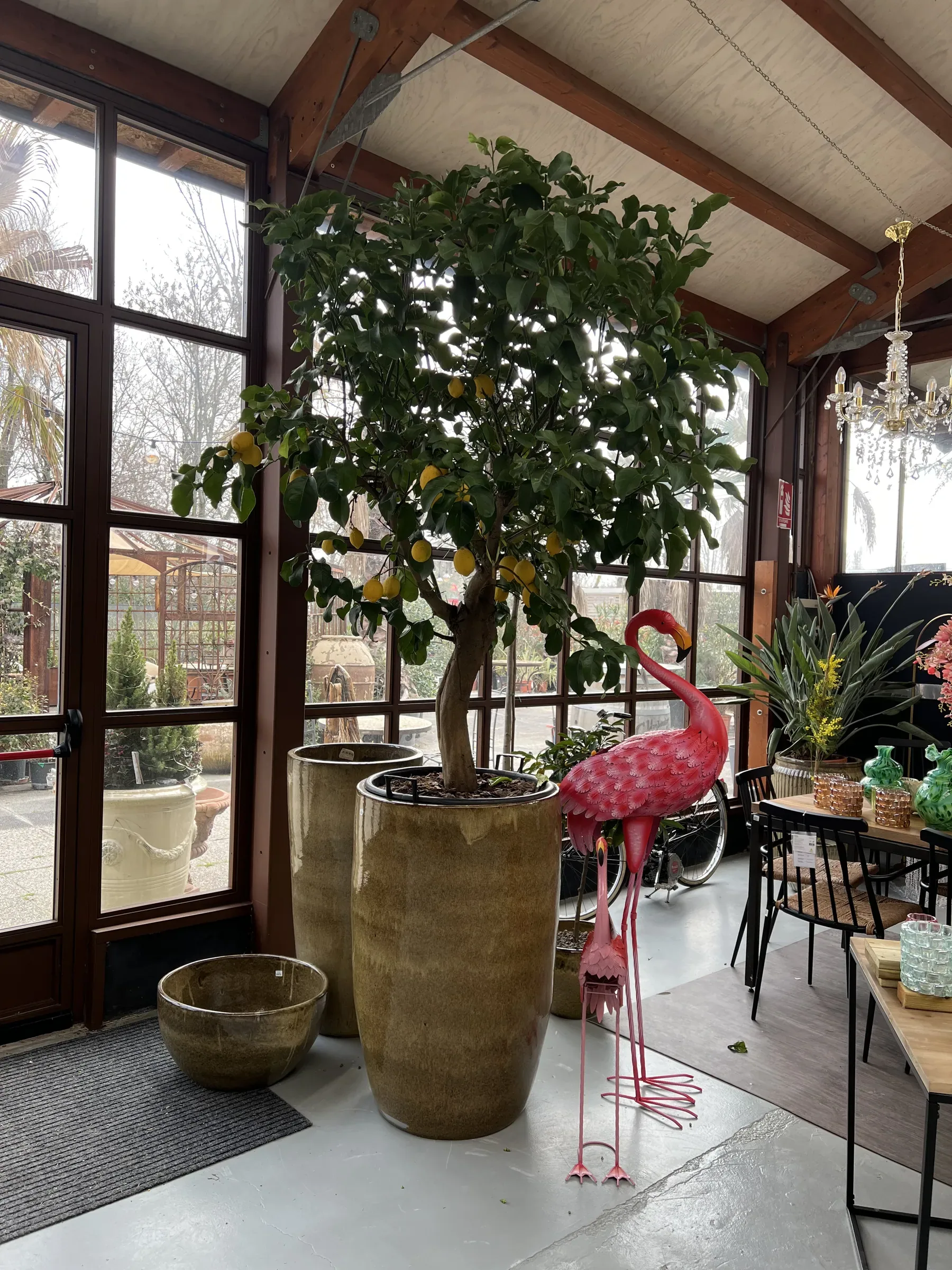 Veranda vetrata con un limone in un vaso alto smaltato, una ciotola bassa accanto, un fenicottero di metallo rosa e un lampadario di cristallo