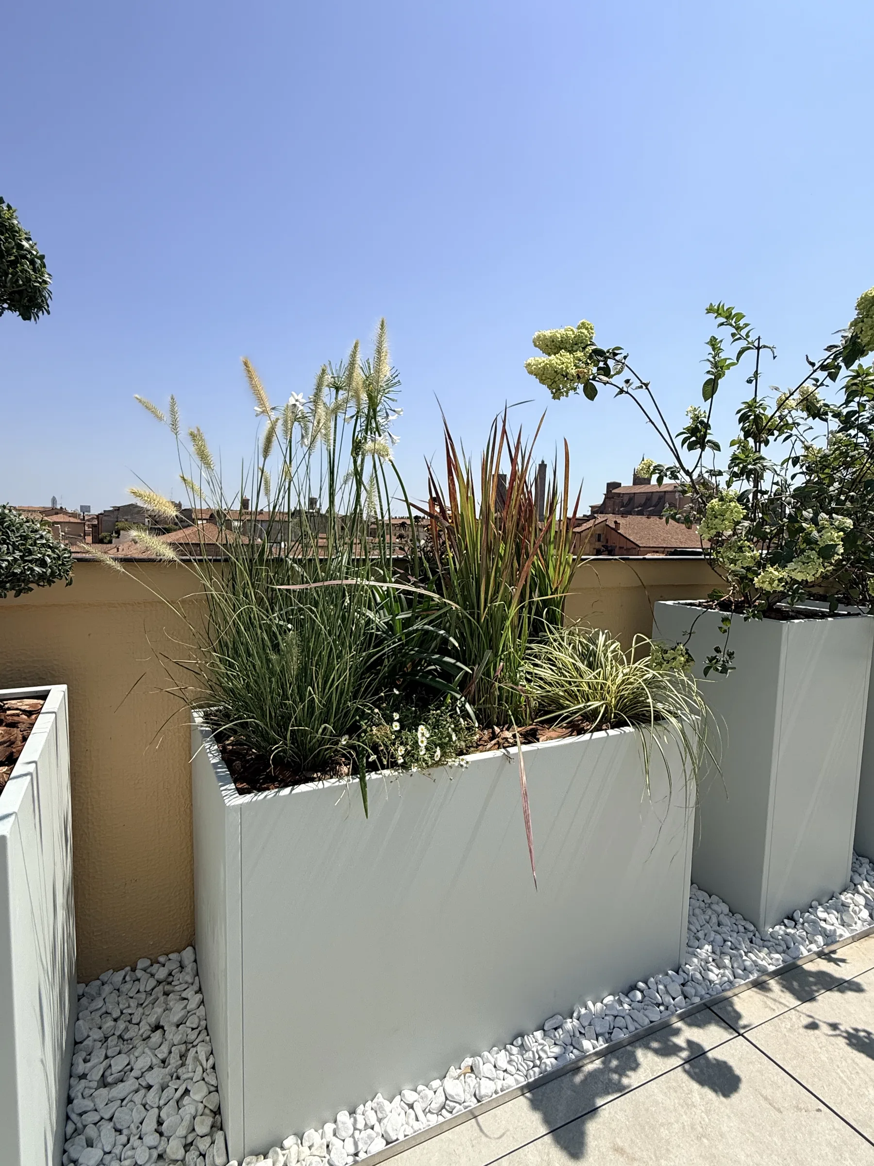 Graminacee e fioriture in una fioriera bassa accanto alla parete gialla del terrazzo