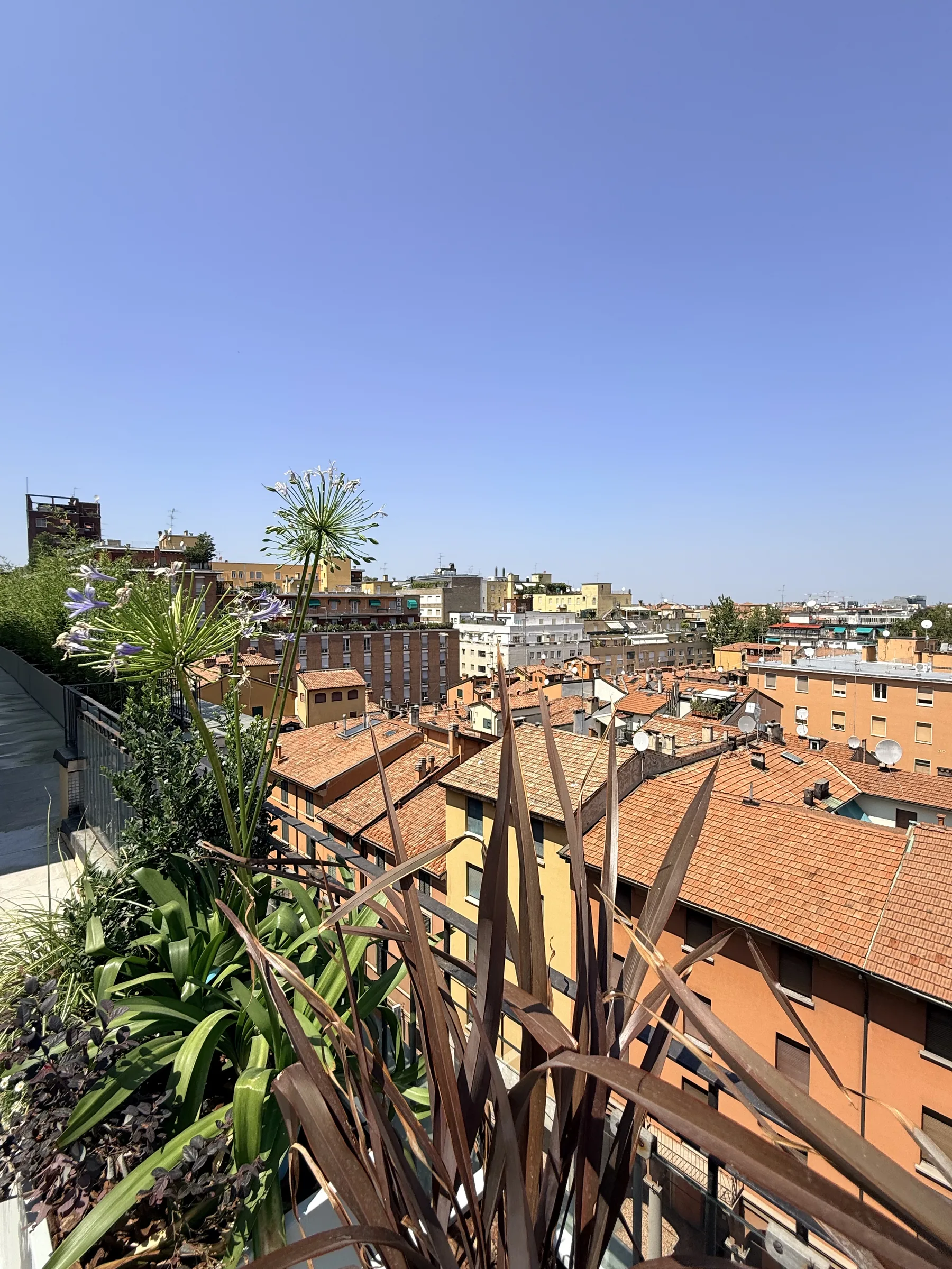 Fioriere piantate lungo il bordo del terrazzo, con i tetti rossi e i campanili di Bologna davanti