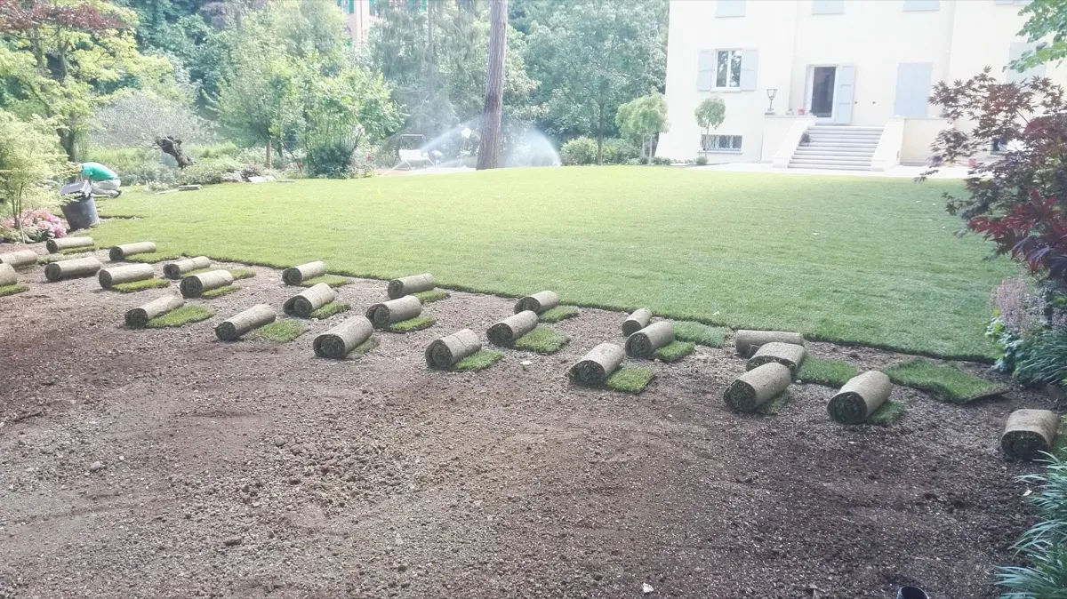 Rotoli di prato pronto appoggiati sul terreno livellato, con la parte già posata che arriva fino alla villa
