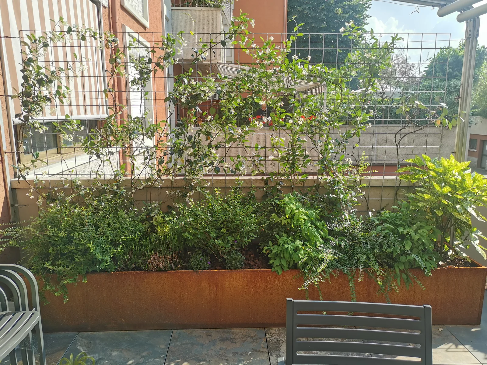 Fioriera lunga in corten con arbusti e aromatiche sotto i rampicanti sul grigliato, e una sedia in primo piano