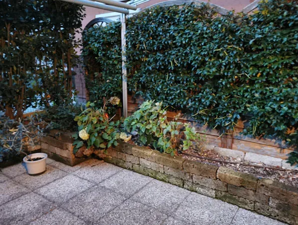 Prima: angolo del terrazzo con il muretto in pietra, i rampicanti sul muro e un vaso bianco