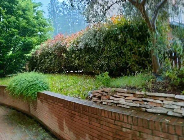 Prima: muretto curvo in mattoni con un'aiuola incolta e arbusti cresciuti