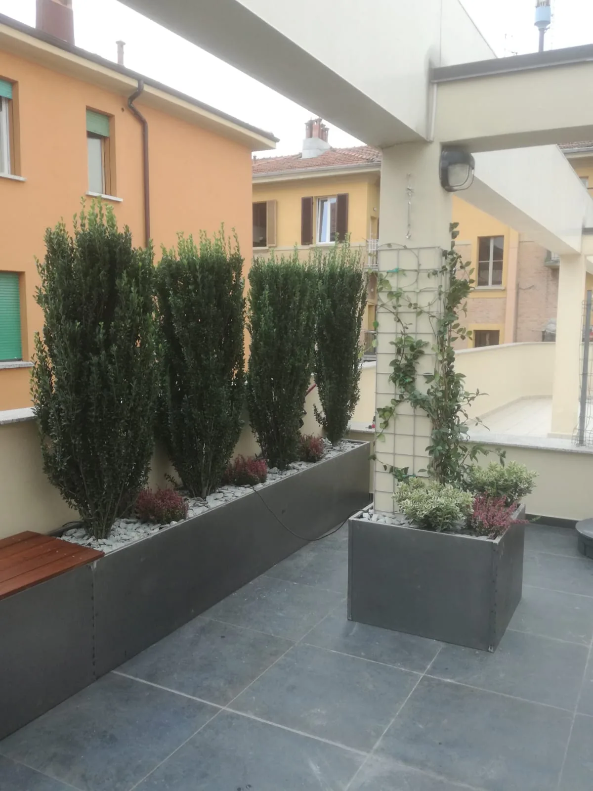 Fioriera lunga con cipressi e una seduta in legno lungo il muro, e una fioriera quadrata con un rampicante sul grigliato