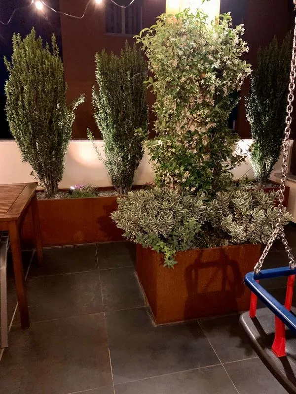 Fioriera con un rampicante fiorito sul grigliato e cipressi illuminati da sotto, di sera