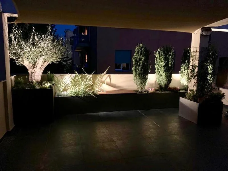 Il terrazzo al crepuscolo, con l'ulivo, le graminacee e i cipressi illuminati nelle fioriere scure