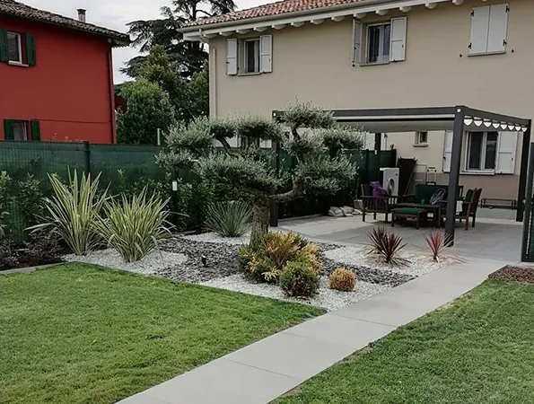 Prato, vialetto in lastre e aiuola con un ulivo potato a nuvola e phormium, davanti al portico con la pergola