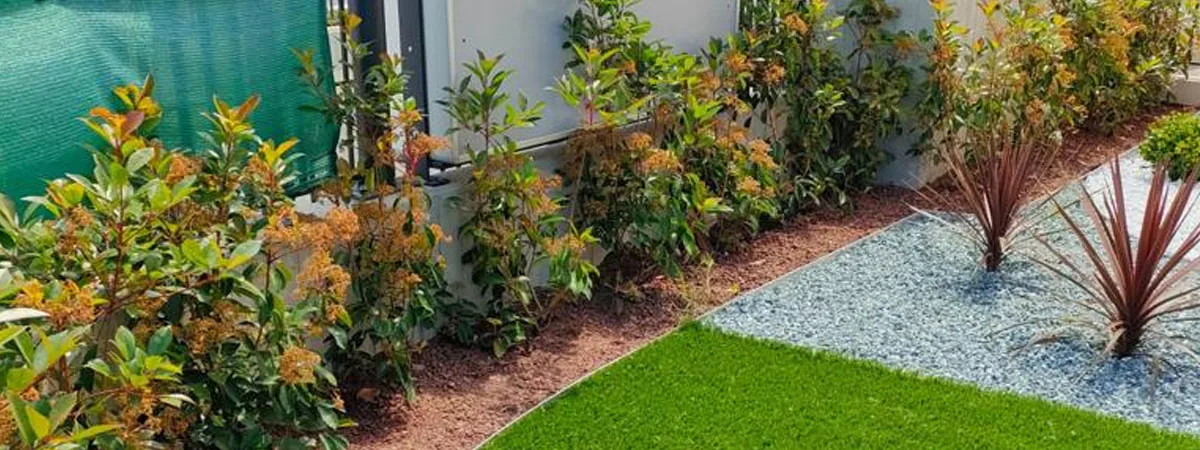 Siepe di photinia con i germogli rossi dietro un'aiuola di ghiaia azzurra con cordyline, al bordo del prato sintetico