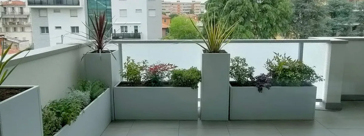 Fioriere verniciate grigio chiaro di altezze diverse con cordyline, aromatiche e arbusti a foglia rossa davanti al parapetto in vetro