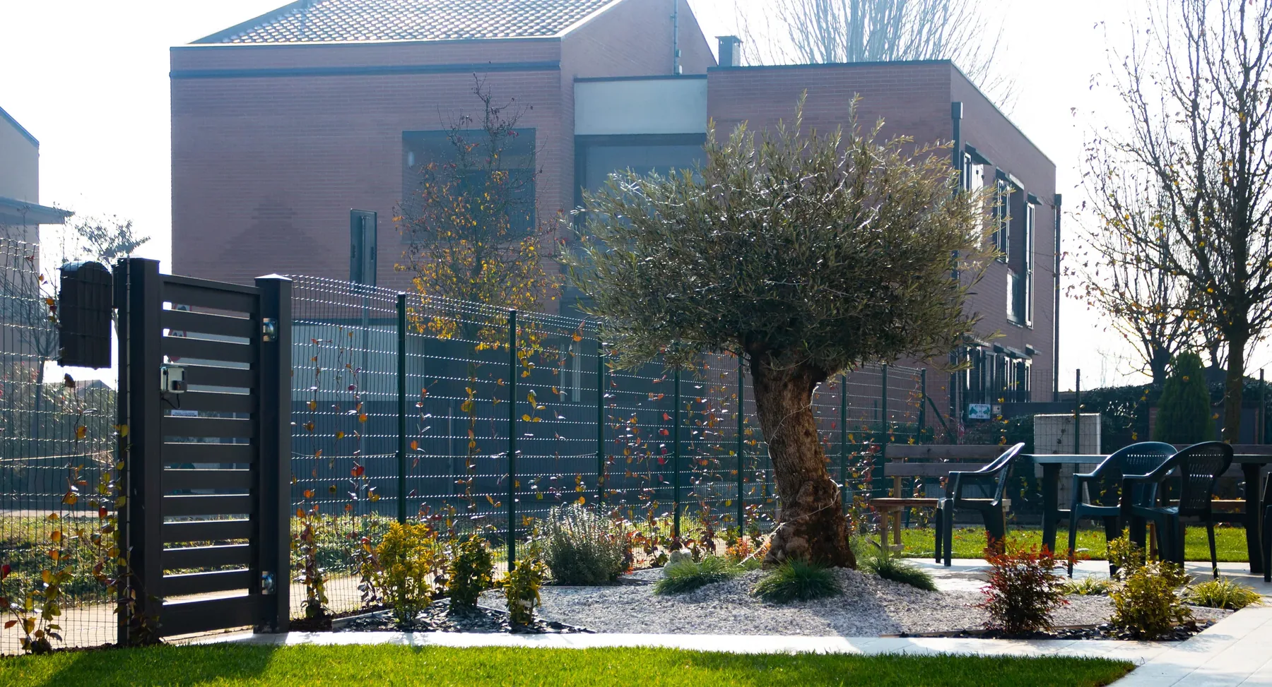 Olivo in un giardino di ghiaia bianca davanti a un edificio moderno, con una recinzione scura e sedie da esterno