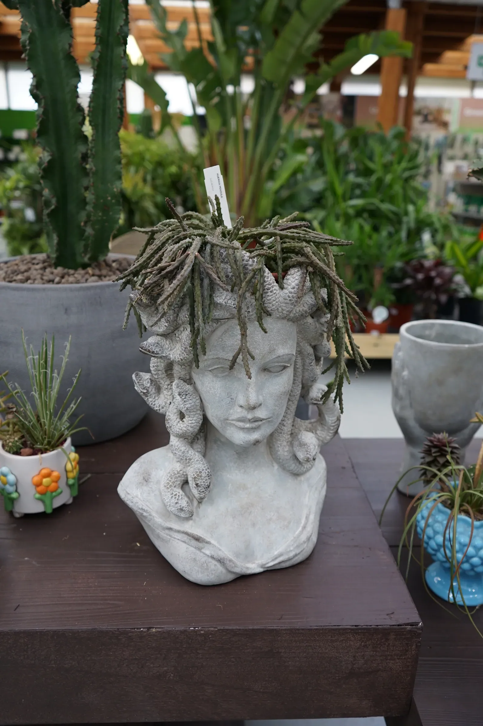 Busto in cemento a forma di Medusa con piante grasse ricadenti al posto dei capelli, su un piedistallo scuro fra cactus e piante verdi