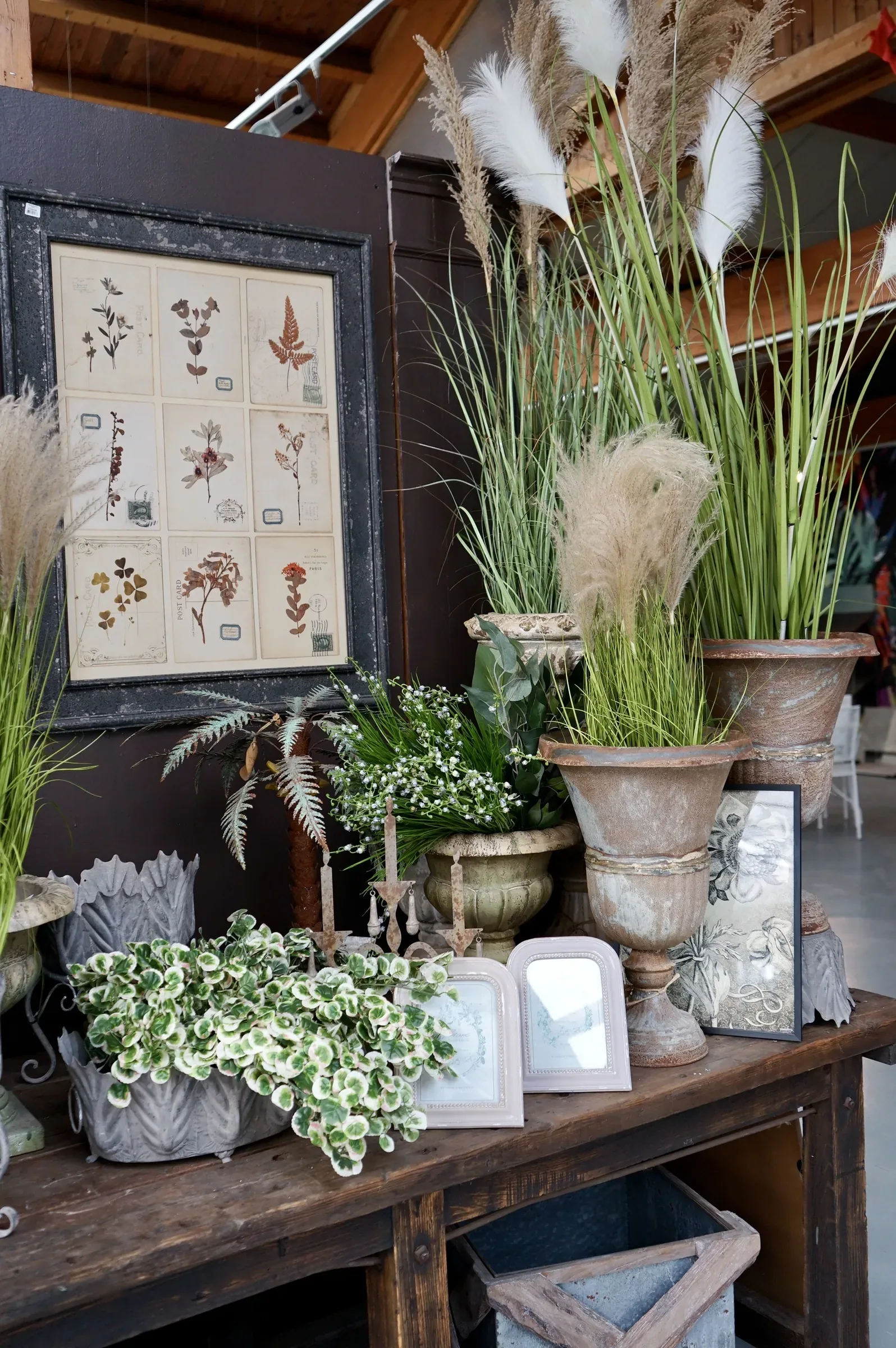 Banco di legno scuro con urne anticate, graminacee e pampas, una stampa botanica incorniciata e piccole cornici bianche