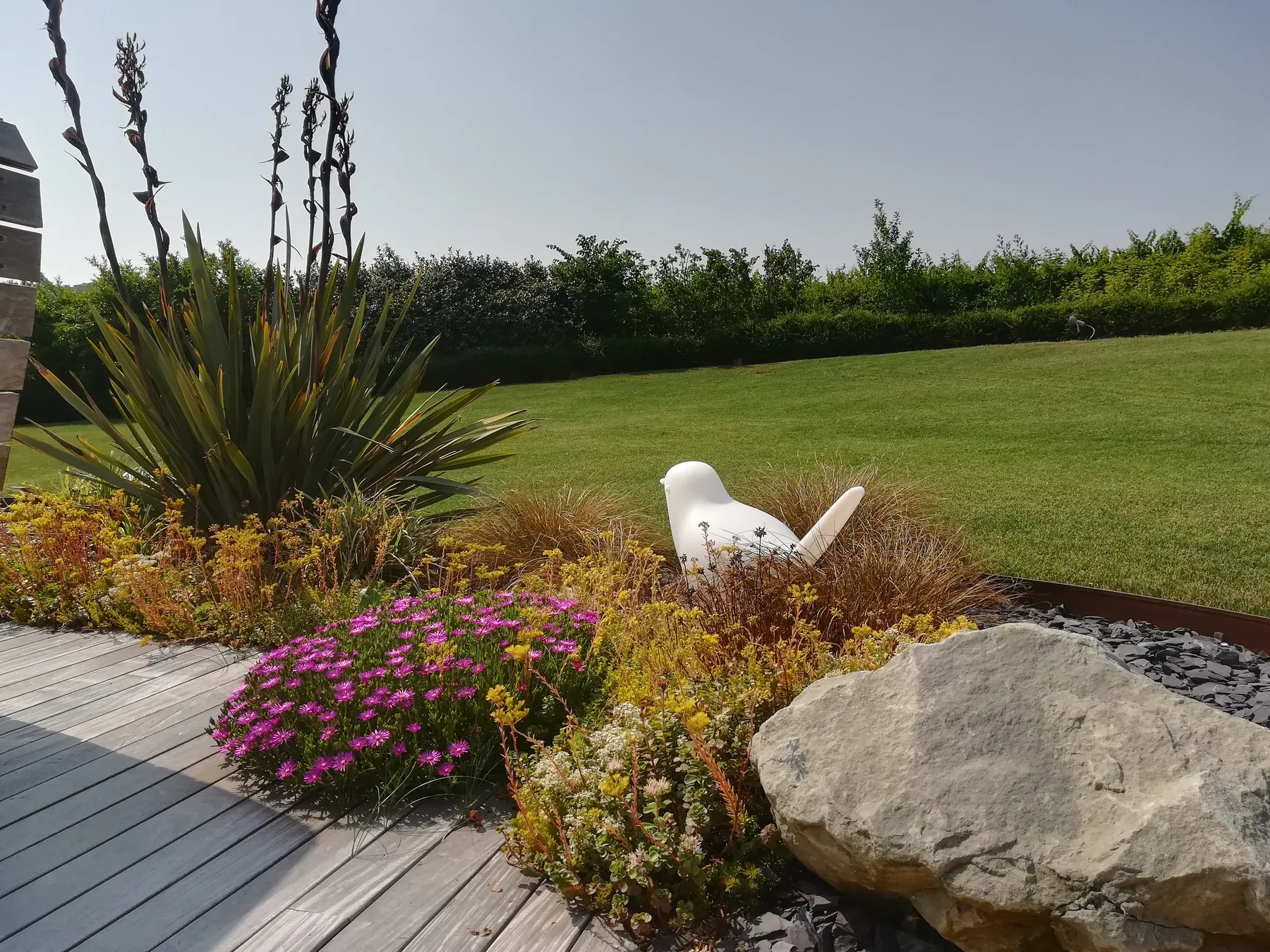 Pedana in legno grigio attorno a un'aiuola di massi, delosperma fucsia e fioriture gialle, al bordo del prato