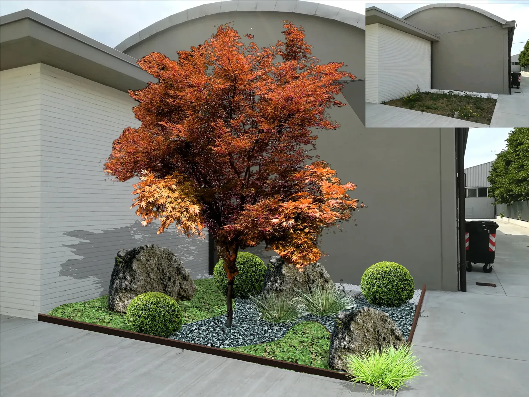 Vista 3D di progetto di un'aiuola con un acero dalle foglie arancioni, massi e arbusti bassi accanto a un edificio