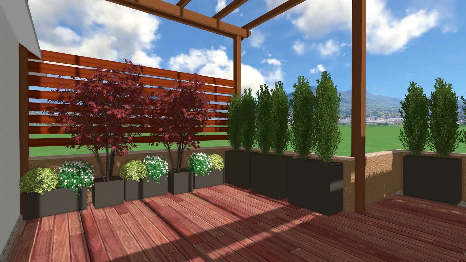 Vista 3D di progetto di un terrazzo in legno con fioriere di cipressini e bosso, una parete in doghe e un acero rosso