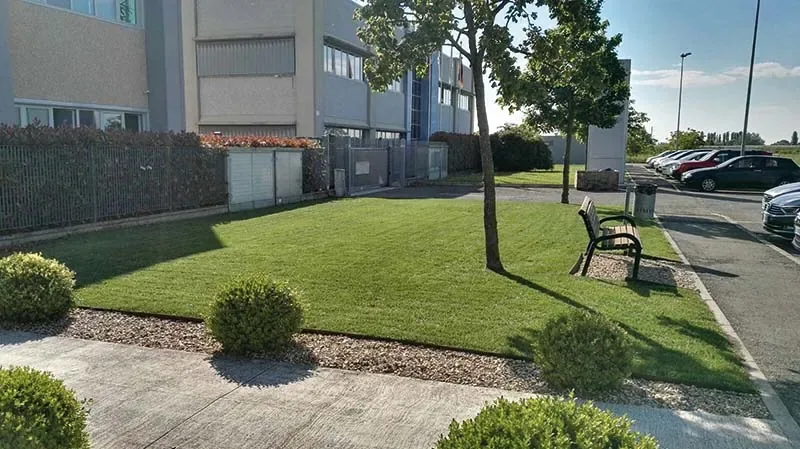Prato con sfere di bosso, una panchina e alberelli davanti a un edificio aziendale, lungo il parcheggio