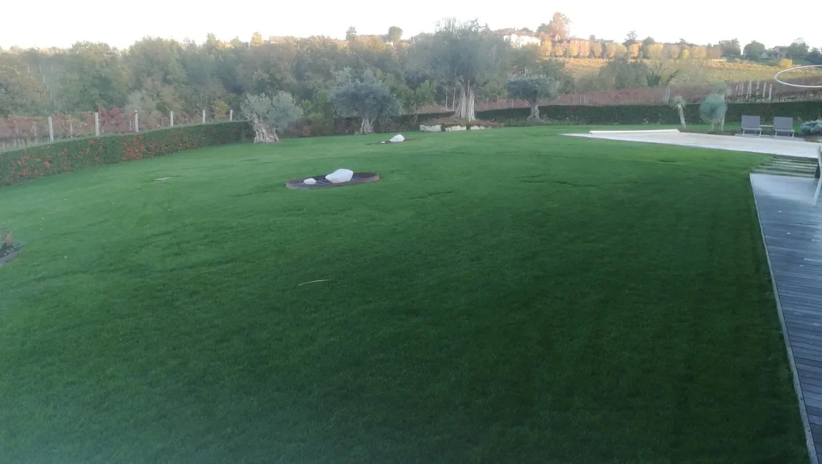 Prato ampio nella luce della sera, con una pedana in legno a bordo piscina e olivi sulla collina di fondo