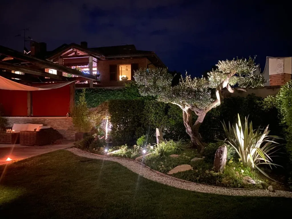 Giardino di sera con un olivo a nuvole illuminato dal basso, un'aiuola con massi, il prato e le finestre accese della casa